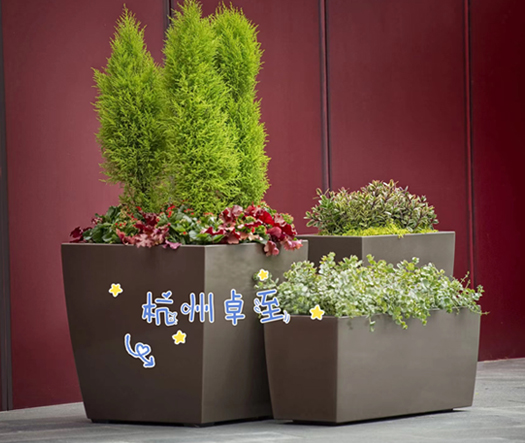 微信图片_20220530142423