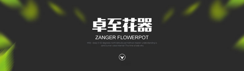 O1CN01TOleBz1zXBIrsKpsp_!!2206438506723